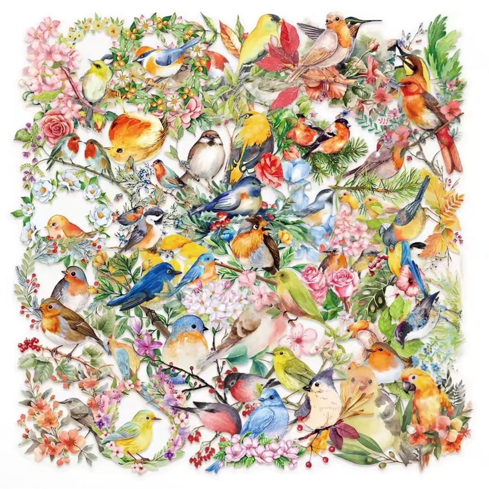 50 Vibrant Transparent Bird Stickers